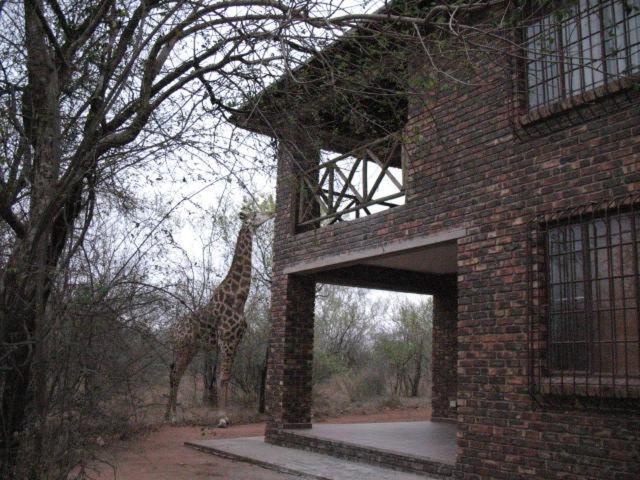 Villa Crowe'S Nest Marloth Park Exterior foto
